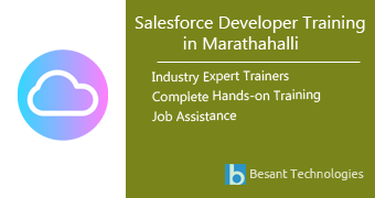 Salesforce Developer Training in Kasaragod