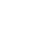 shape 02